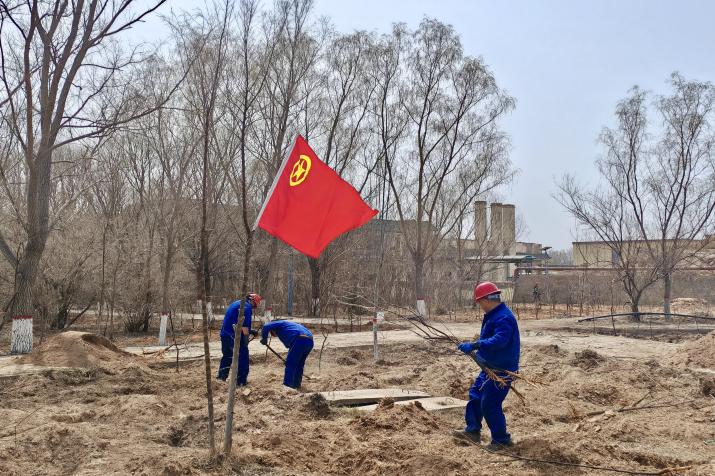 91cb1b84055f37aa13b546d9eb902d4