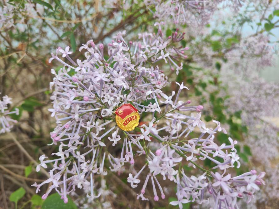 微信图片_20250429164840